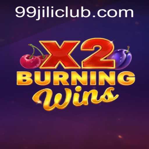 Exploring BurningWinsX2 Game Mechanics